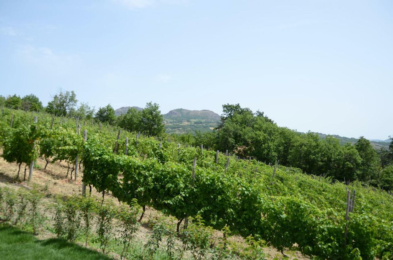 Agriturismo Ca' Del Sartu Bobbio Bagian luar foto